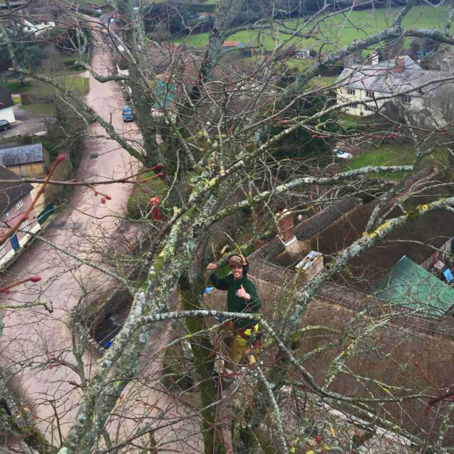 landscape-gardeners_honiton landscape gardeners honiton