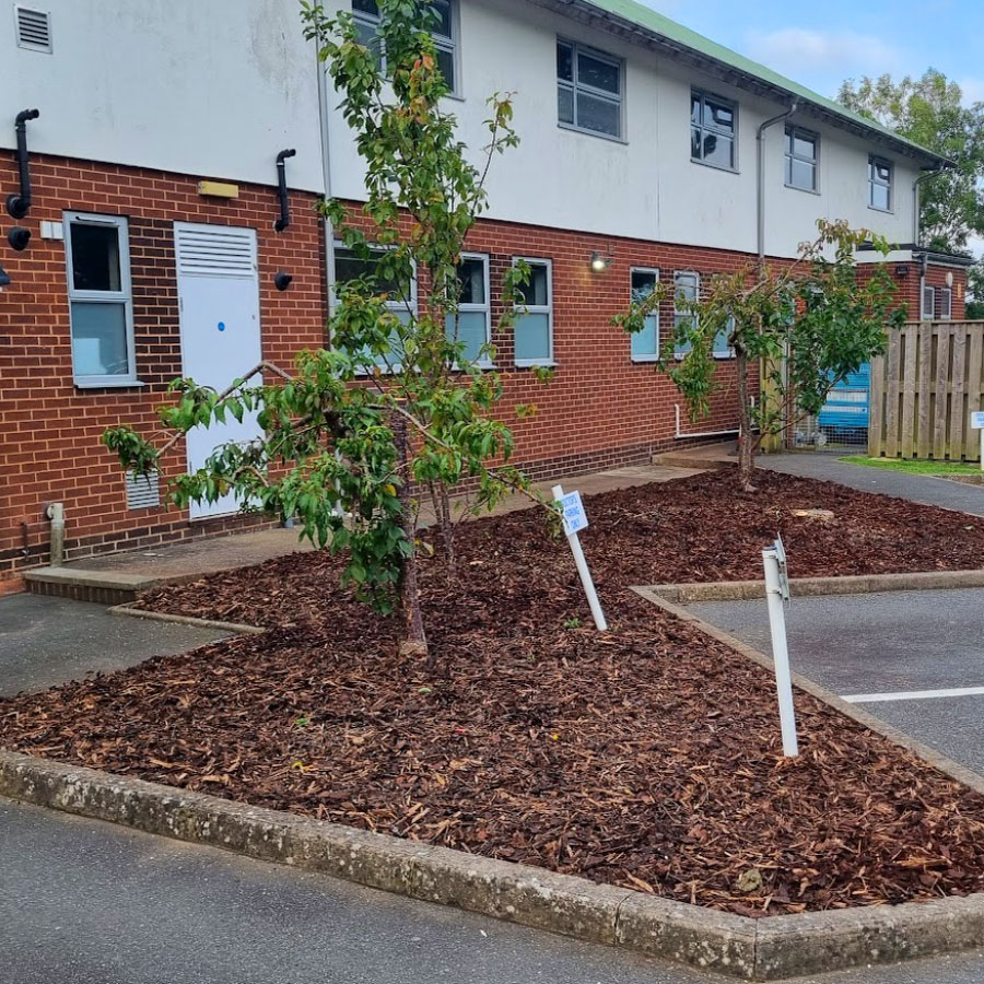garden-planner-exmouth garden planner exmouth